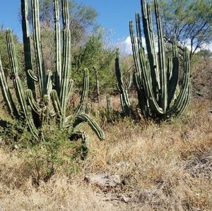 Meet your Posher, Godofredo